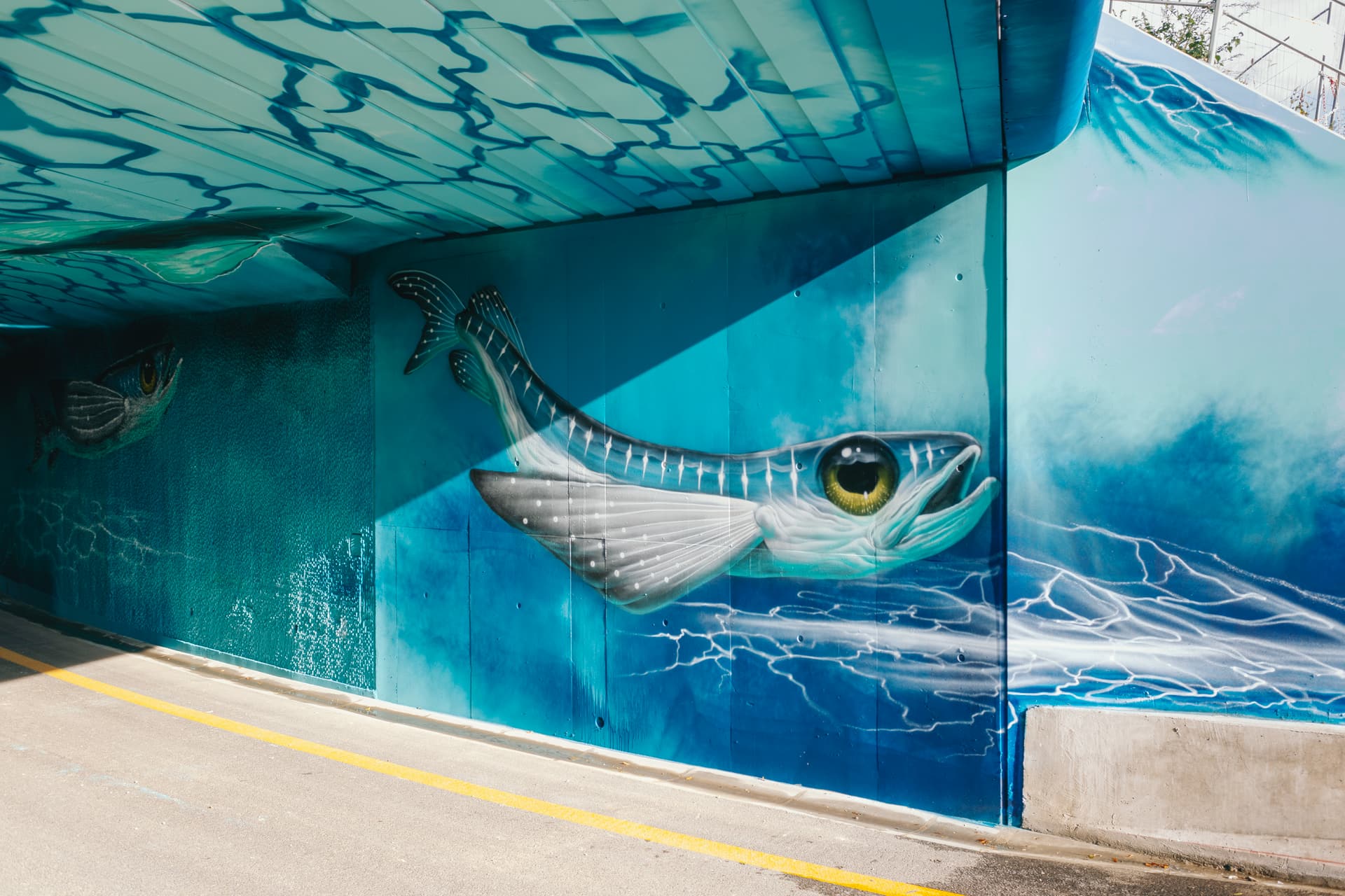 Fresque artistique sous la l'autoroute urbaine A480