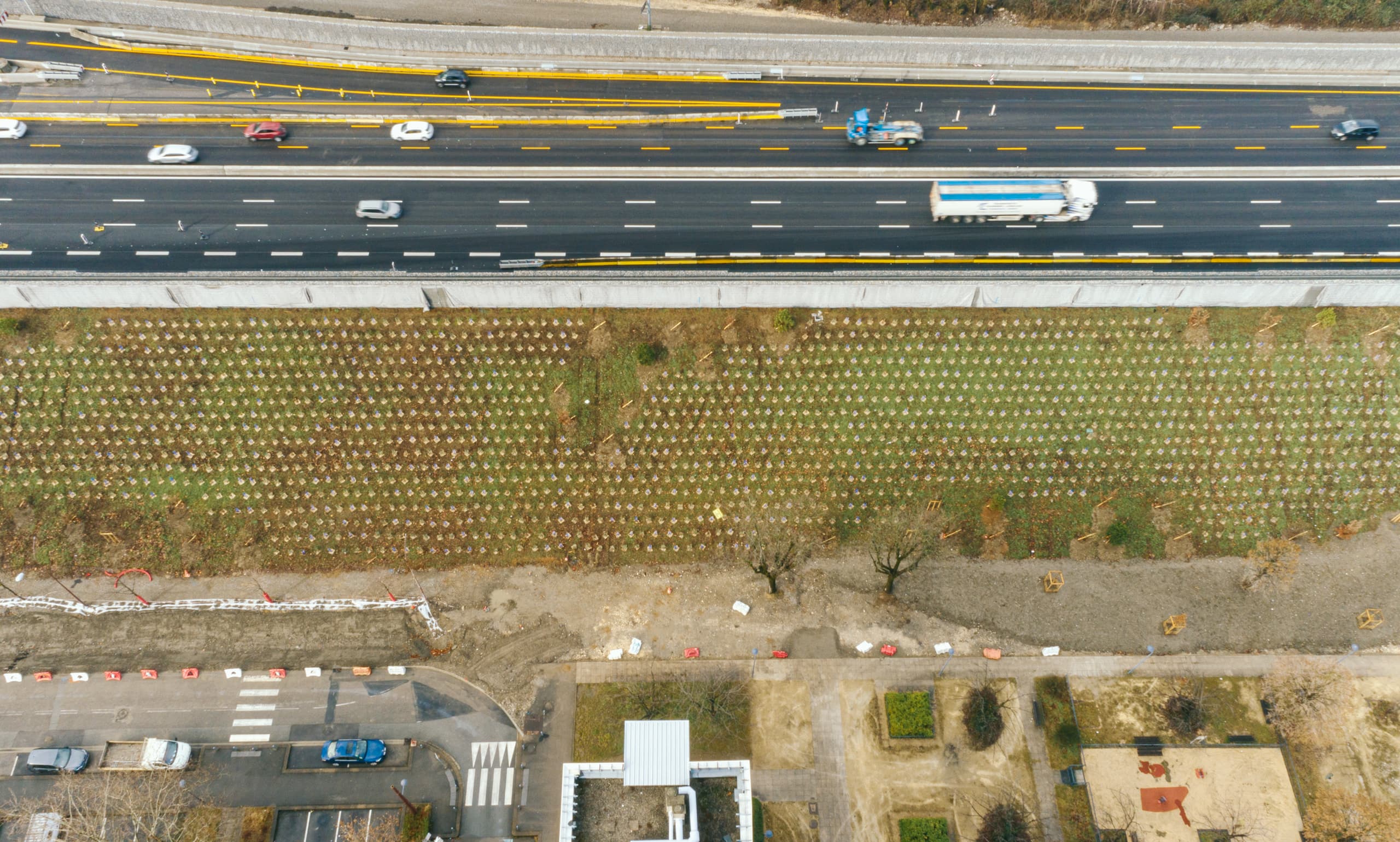Plantations permettant à la biodiversité le long de l'axe autoroutier A480