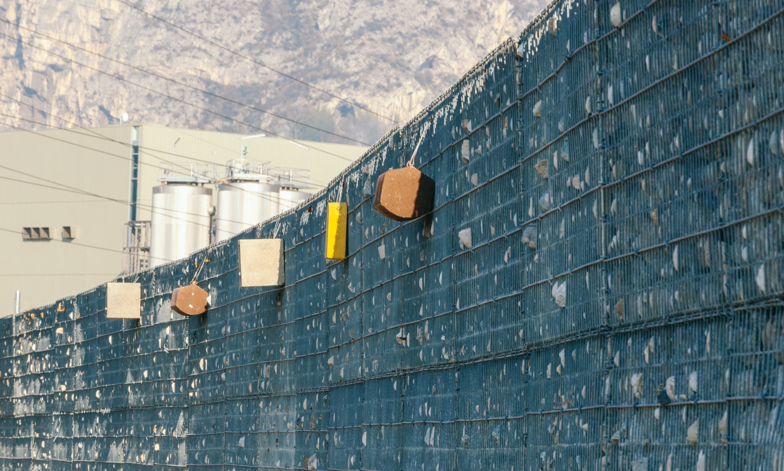 Installation de nichoirs par les équipes d'AREA sur l'autoroute urbaine A480