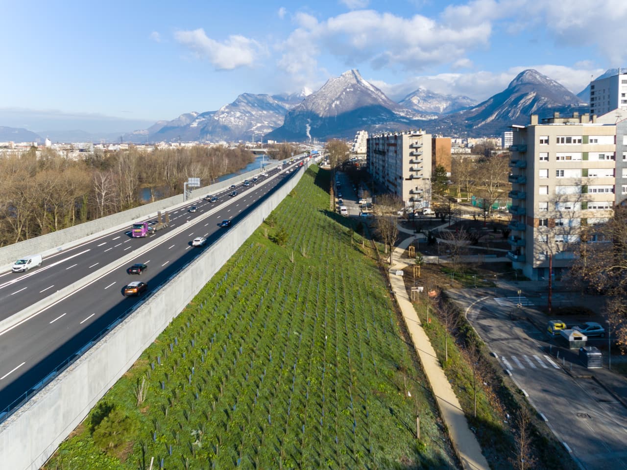 le renouvellement de la végétalisation du mur à Mistral en plantes grimpantes et en arbustes sur l'autoroute urbaine intégrée A480.